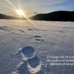 Avatar di Miki