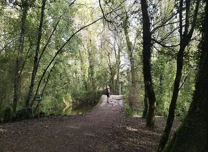Cammino di Santiago