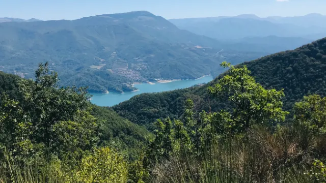 Compagni di viaggio per gite fuori porta