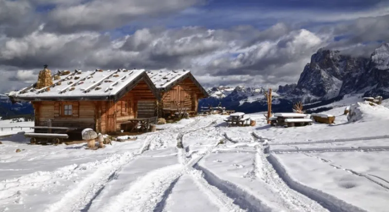 Foto del viaggio Compagno di viaggio per capodanno in montagna