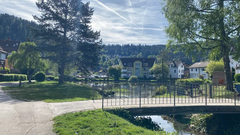 Foto del viaggio Foresta Nera, Natura e SPA