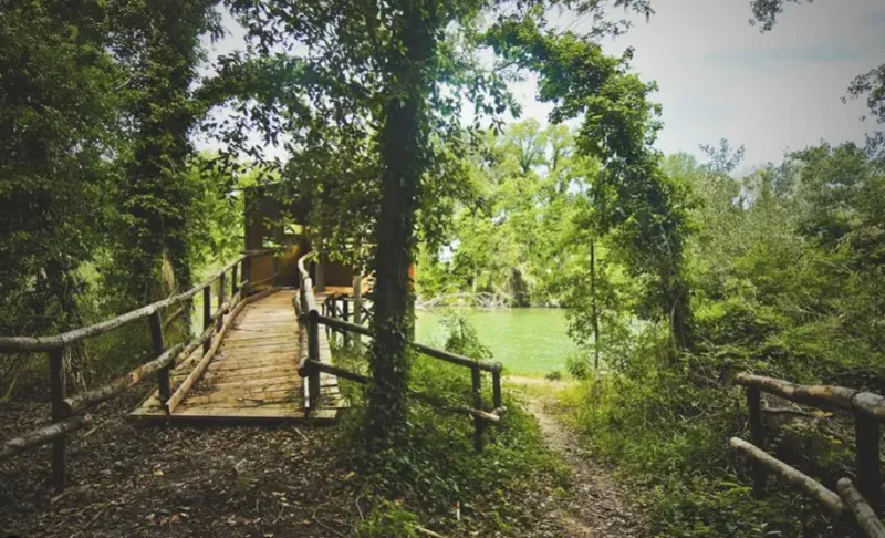Foto del viaggio Relax e natura in Piemonte