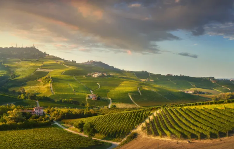 Weekend enogastronomico nelle Langhe